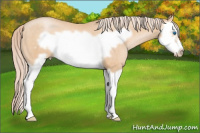 Horse Color:Chocolate Palomino Pearl Splash Frame Rabicano