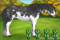 Horse Color:Brown Splash Frame 