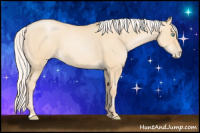 Horse Color:Silver Smoky Grullo Pearl