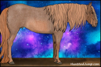 Horse Color:Liver Red Roan 