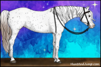 Horse Color:Grullo Near Leopard 