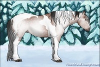 Horse Color:Gray Bay Tobiano 