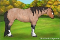Horse Color:Bay Roan Rabicano 