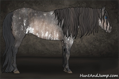 Horse Color: Brown Splash Rabicano  Brindle