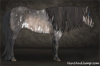 Horse Color:Brown Splash Rabicano  Brindle