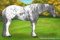 Horse Color:White Spotted Black Splash Tobiano Frame Blanket 
