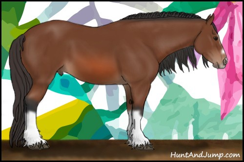 Horse Color: Bay Splash Frame 