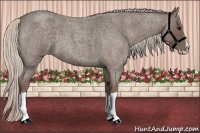 Horse Color:Silver Blue Roan Splash 