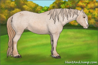 Horse Color:Chestnut Splash Varnish 