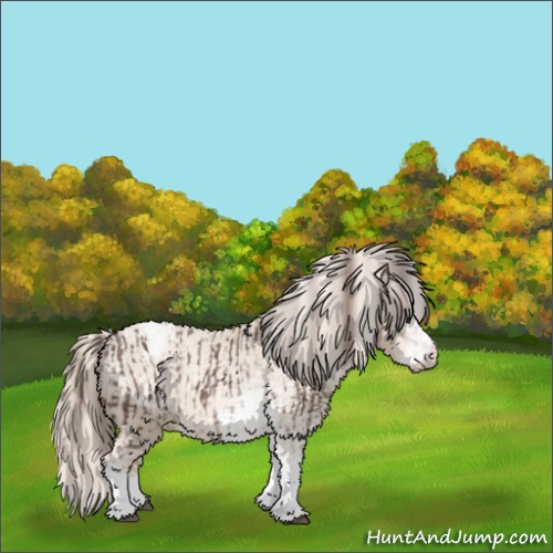 Horse Color:Liver Chestnut Sabino Appaloosa Rabicano  and Chocolate Palomino Pearl Sabino Appaloosa Rabicano 