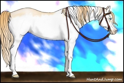 Horse Color: Buckskin Pearl Splash Frame 