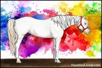 Horse Color:Gold Champagne Roan Dun Splash Tobiano Frame Blanket Rabicano 