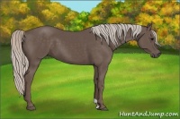 Horse Color:Silver Black 