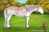 Horse Color:White Spotted Silver Bay Dun Splash