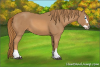 Horse Color:Chestnut Splash Frame