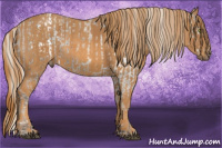Horse Color:Liver Chestnut Ice Pearl Mushroom Sabino Snowcap Rabicano Brindle