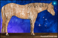 Horse Color:Liver Chestnut Pearl Mushroom Sabino Snowcap Rabicano  Brindle