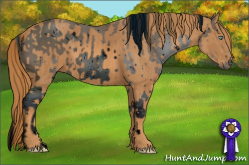 Horse Color: ERROR: UNKNOWN ANOMALY Brindle