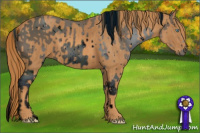 Horse Color:ERROR: UNKNOWN ANOMALY Brindle