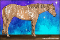 Horse Color:Liver Chestnut Pearl Mushroom Sabino Near Leopard Rabicano  Brindle