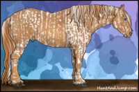 Horse Color:White Spotted Liver Chestnut Ice Pearl Sabino Splash Snowcap Rabicano  Brindle