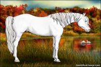 Horse Color:Chocolate Palomino Pearl Sabino Appaloosa Rabicano  Brindle