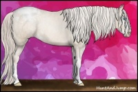 Horse Color:Chocolate Palomino Pearl Sabino Snowcap Rabicano  Brindle