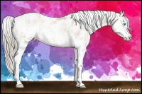 Horse Color:Chocolate Palomino Pearl Sabino Appaloosa Rabicano  Brindle