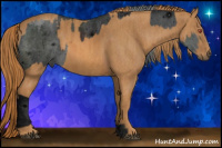 Horse Color:ERROR: UNKNOWN ANOMALY Brindle