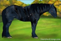 Horse Color:ERROR: UNKNOWN ANOMALY Brindle