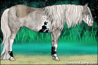 Horse Color:ERROR: UNKNOWN ANOMALY Brindle