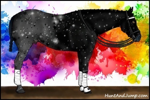 Horse Color:ERROR: UNKNOWN ANOMALY Brindle