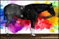 Horse Color:ERROR: UNKNOWN ANOMALY Brindle