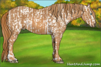 Horse Color:Chocolate Palomino Pearl Dun Sabino Appaloosa Rabicano  Brindle