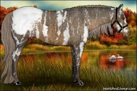 Horse Color:Chocolate Palomino Sabino Snowcap  Brindle
