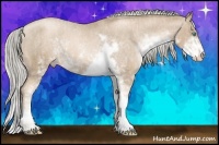 Horse Color:Chocolate Palomino Pearl Sabino Appaloosa Rabicano  Brindle