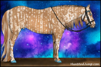 Horse Color:Chocolate Palomino Pearl Sabino Appaloosa Rabicano Brindle