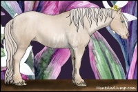Horse Color:Chocolate Palomino Pearl Sabino Appaloosa Rabicano  Brindle
