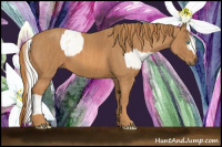 Horse Color:Chocolate Palomino Ice Pearl Mushroom Sabino Appaloosa Rabicano  Brindle