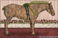 Horse Color:Brown Chinchilla  Brindle