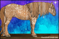 Horse Color:Chocolate Palomino Pearl Mushroom Sabino Appaloosa Rabicano Brindle