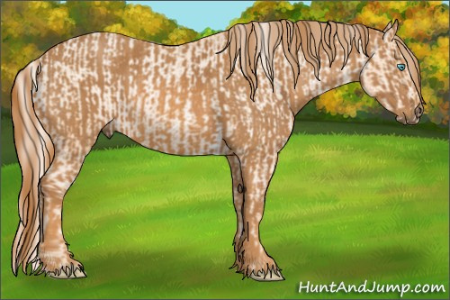 Horse Color: Chocolate Palomino Pearl Sabino Varnish Rabicano  Brindle