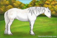 Horse Color:Chocolate Palomino Pearl Sabino Splash Frame Varnish Rabicano  Brindle