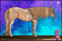 Horse Color:Chocolate Palomino Pearl Mushroom Sabino Appaloosa Rabicano  Brindle