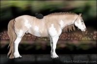 Horse Color:Liver Red Roan Pearl Splash Rabicano  Brindle
