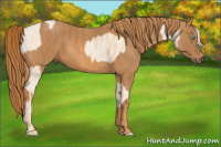 Horse Color:Chocolate Palomino Pearl Sabino Varnish Rabicano  Brindle