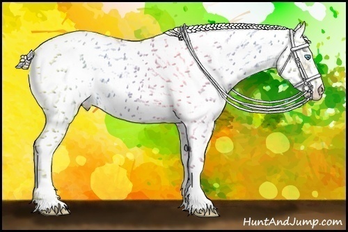 Horse Color: Chocolate Palomino Pearl Sabino Snowcap Rabicano  Brindle