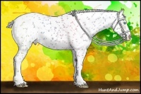 Horse Color:Chocolate Palomino Pearl Sabino Appaloosa Rabicano  Brindle