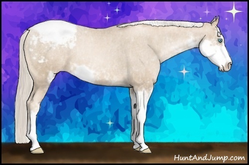 Horse Color: Chocolate Palomino Pearl Sabino Snowcap Rabicano  Brindle
