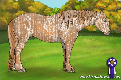 Horse Color: Chocolate Palomino Pearl Sabino Snowcap Rabicano  Brindle
